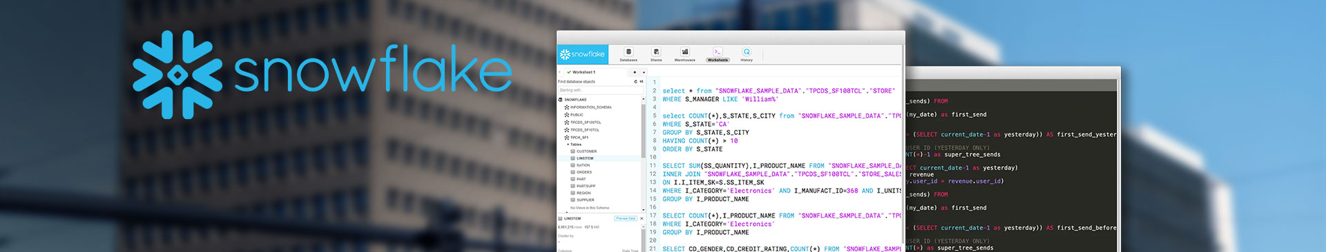 datarocks-banner-snowflake
